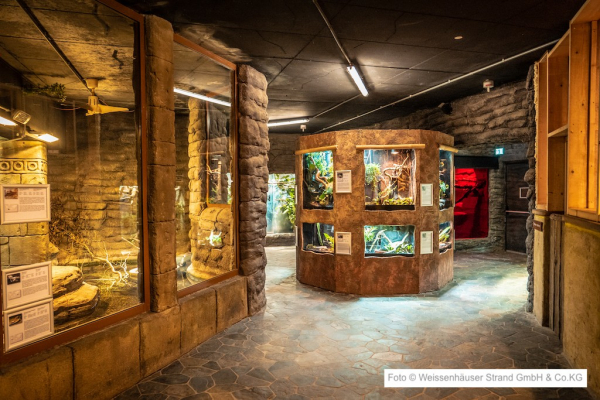 Abenteuer Dschungelland Weissenhäuser Strand